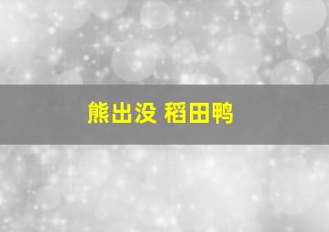 熊出没 稻田鸭